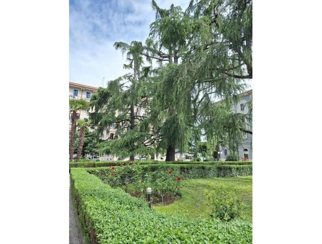 Anteprima foto 2 - Appartamento in Affitto a Milano - Città Studi