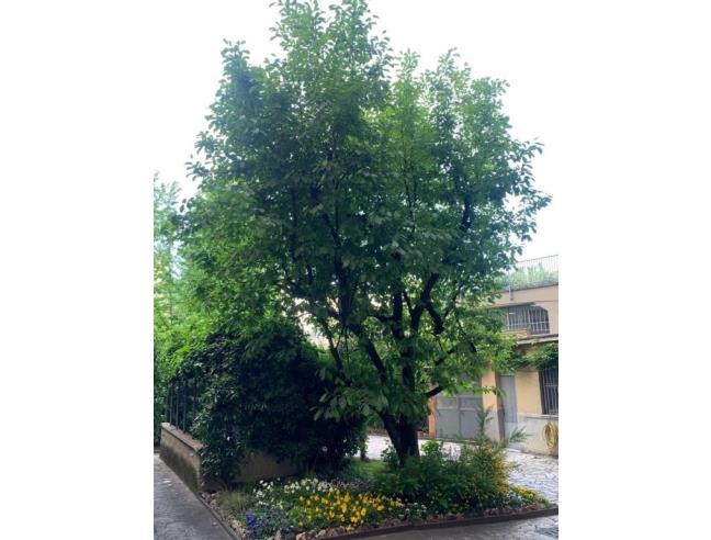 Anteprima foto 4 - Appartamento in Affitto a Milano - Gallaratese