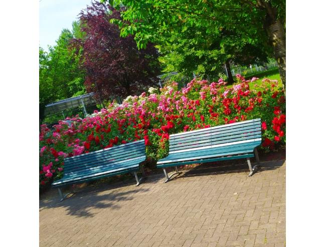 Anteprima foto 3 - Appartamento in Affitto a Milano - Lambrate