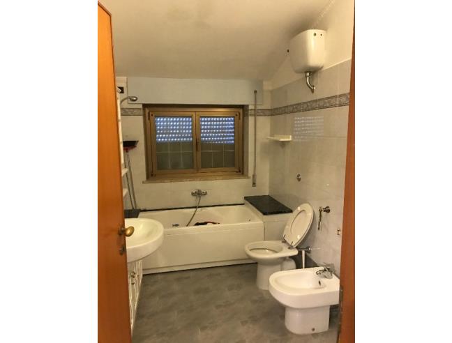 Anteprima foto 5 - Appartamento in Affitto a Monte Compatri (Roma)