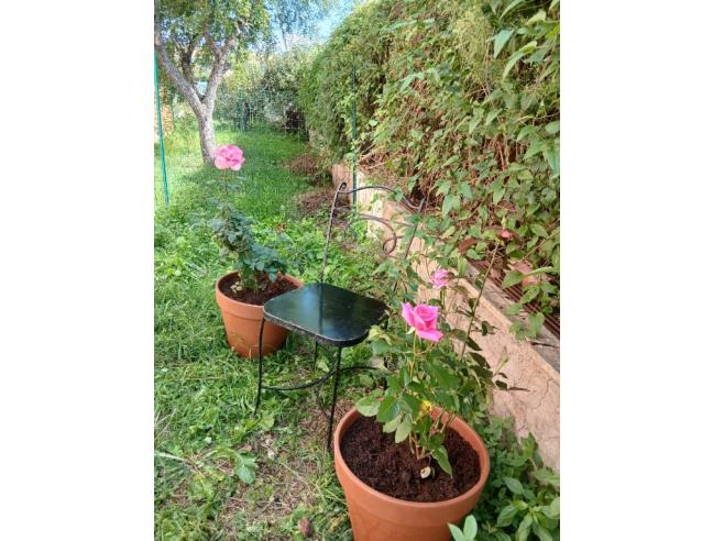 Anteprima foto 8 - Appartamento in Affitto a Monterosi (Viterbo)