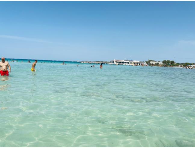 Anteprima foto 3 - Appartamento in Affitto a Nardò - Torre San Isidoro