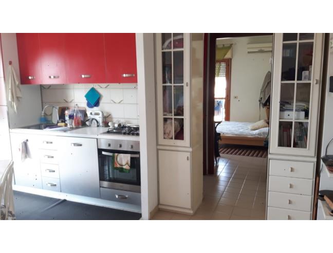 Anteprima foto 8 - Appartamento in Affitto a Nettuno (Roma)
