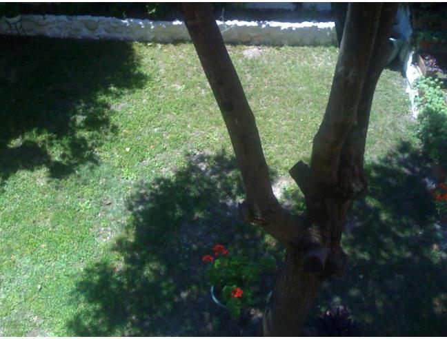 Anteprima foto 4 - Appartamento in Affitto a Numana (Ancona)