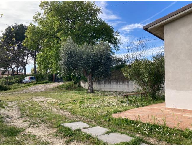 Anteprima foto 5 - Appartamento in Affitto a Pesaro - Candelara