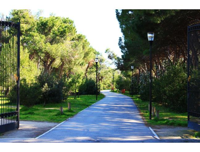 Anteprima foto 1 - Appartamento in Affitto a Pescara (Pescara)