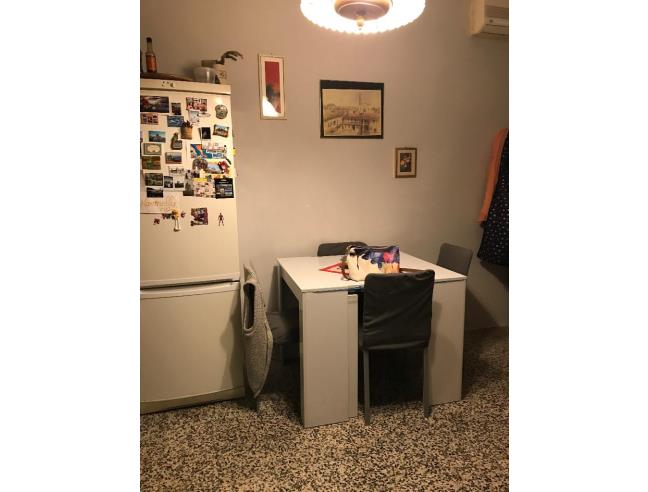 Anteprima foto 5 - Appartamento in Affitto a Piacenza (Piacenza)