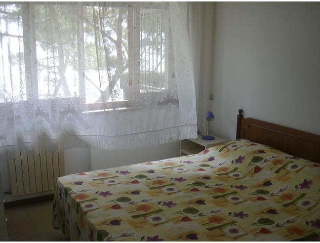 Anteprima foto 4 - Appartamento in Affitto a Pineto (Teramo)