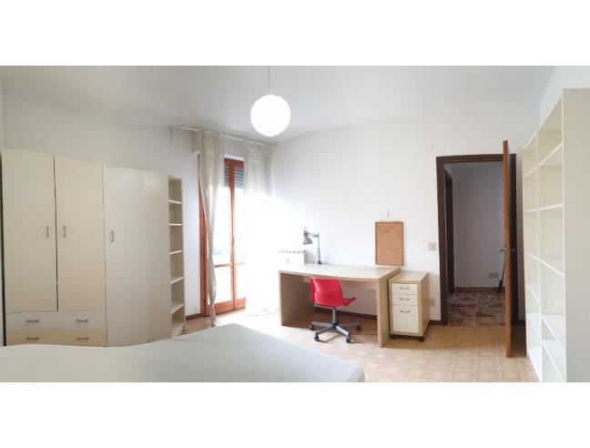 Anteprima foto 4 - Appartamento in Affitto a Pisa - Marina di Pisa