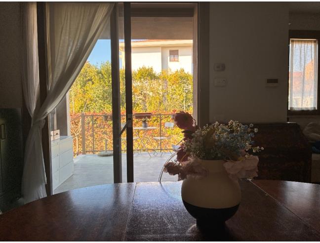 Anteprima foto 2 - Appartamento in Affitto a Pisa - Pisanova