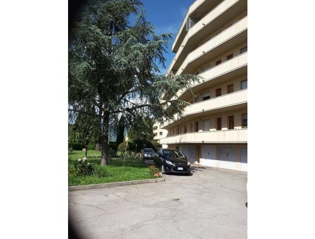 Anteprima foto 2 - Appartamento in Affitto a Pisa - Pisanova