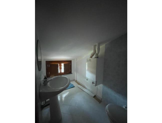 Anteprima foto 7 - Appartamento in Affitto a Pisa - Tirrenia