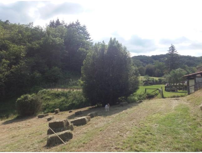 Anteprima foto 6 - Appartamento in Affitto a Pontremoli (Massa-Carrara)