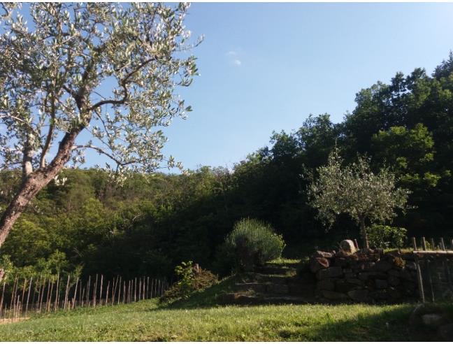 Anteprima foto 7 - Appartamento in Affitto a Pontremoli (Massa-Carrara)