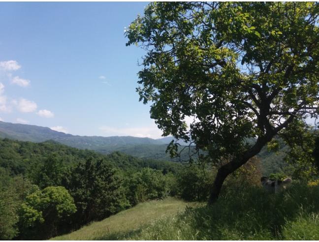 Anteprima foto 8 - Appartamento in Affitto a Pontremoli (Massa-Carrara)
