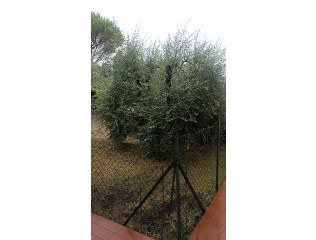 Anteprima foto 2 - Appartamento in Affitto a Rignano sull'Arno (Firenze)