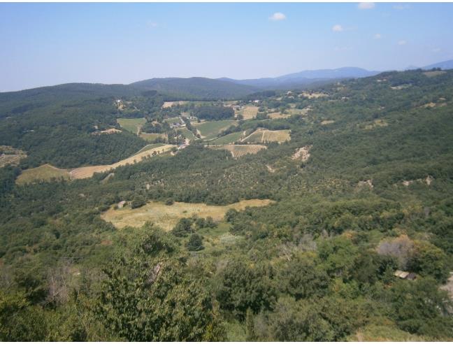 Anteprima foto 8 - Appartamento in Affitto a Roccastrada - Roccatederighi