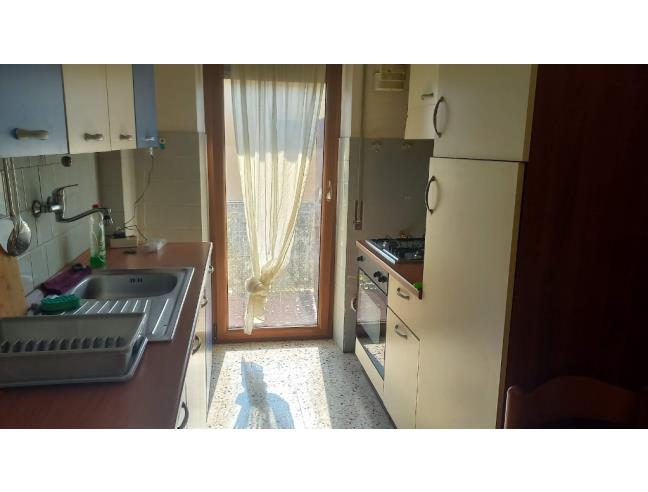 Anteprima foto 4 - Appartamento in Affitto a Roma - Collatino