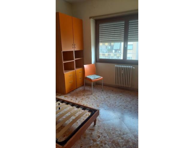 Anteprima foto 7 - Appartamento in Affitto a Roma - Collatino