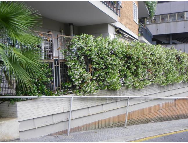 Anteprima foto 3 - Appartamento in Affitto a Roma - Fleming