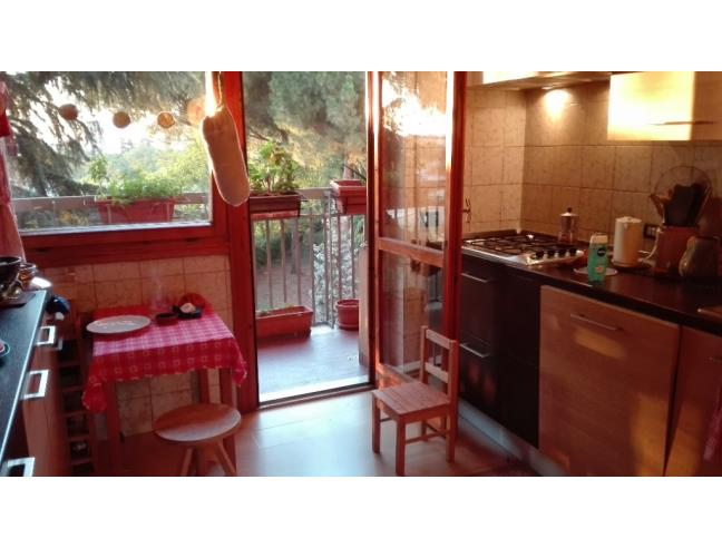 Anteprima foto 4 - Appartamento in Affitto a Roma - Grotta Perfetta