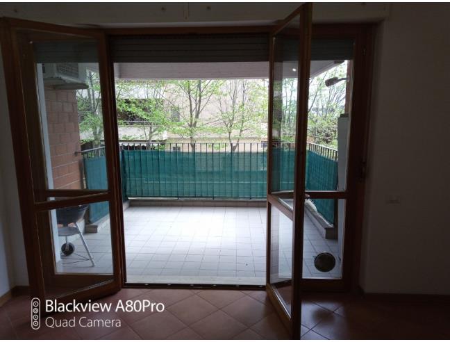 Anteprima foto 2 - Appartamento in Affitto a Roma - Laurentina