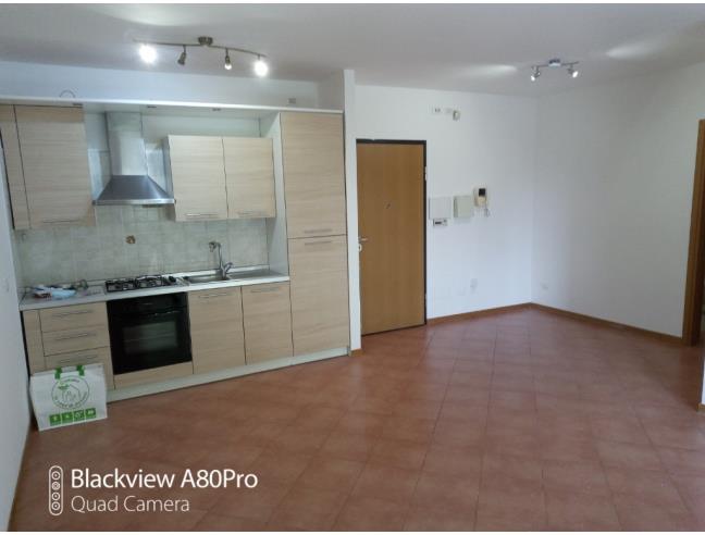 Anteprima foto 3 - Appartamento in Affitto a Roma - Laurentina