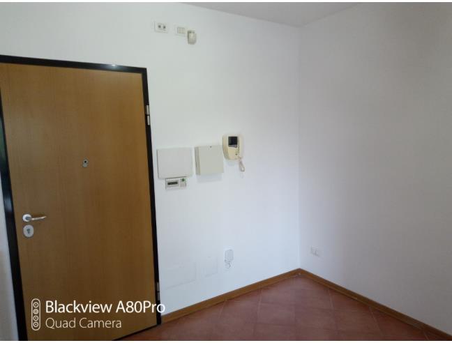 Anteprima foto 4 - Appartamento in Affitto a Roma - Laurentina