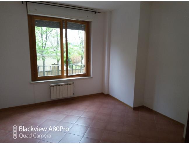 Anteprima foto 6 - Appartamento in Affitto a Roma - Laurentina