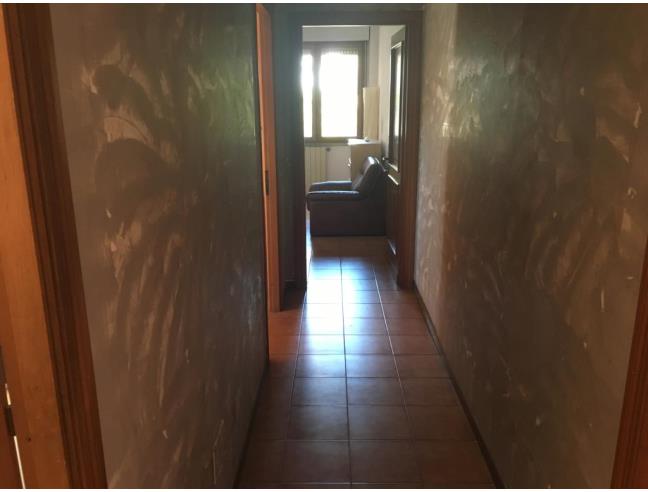 Anteprima foto 8 - Appartamento in Affitto a Roma - Talenti