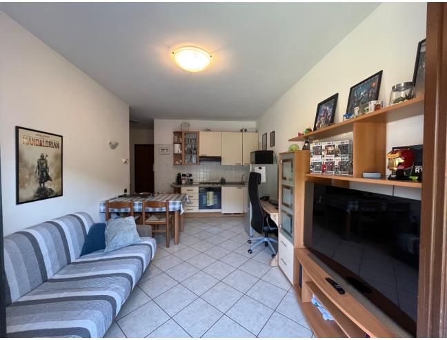 Anteprima foto 2 - Appartamento in Affitto a Rovigo (Rovigo)