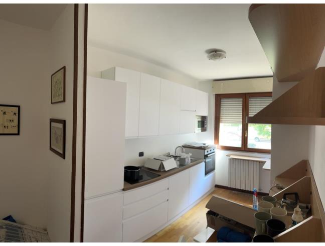 Anteprima foto 3 - Appartamento in Affitto a San Donato Milanese (Milano)