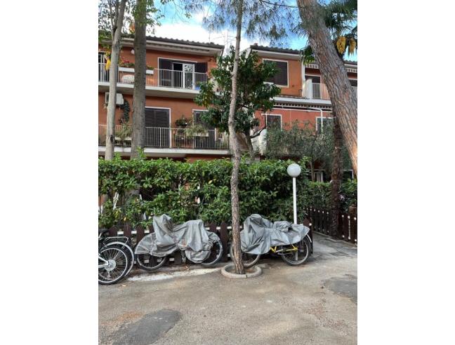 Anteprima foto 6 - Appartamento in Affitto a San Felice Circeo (Latina)