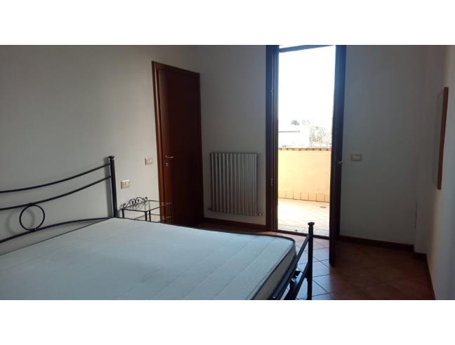 Anteprima foto 4 - Appartamento in Affitto a San Felice sul Panaro (Modena)