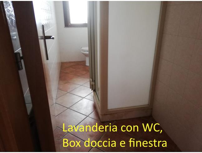 Anteprima foto 8 - Appartamento in Affitto a San Gregorio di Catania (Catania)