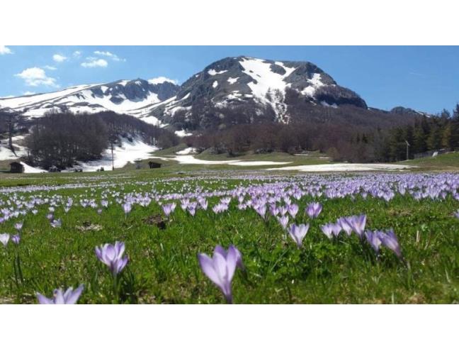 Anteprima foto 1 - Appartamento in Affitto a San Massimo - Campitello