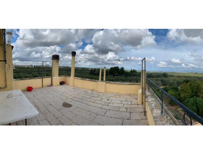 Anteprima foto 8 - Appartamento in Affitto a Sannicandro di Bari (Bari)