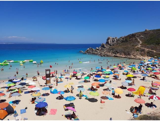 Anteprima foto 1 - Appartamento in Affitto a Santa Teresa Gallura (Olbia-Tempio)