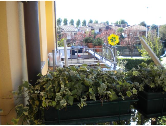 Anteprima foto 7 - Appartamento in Affitto a Settimo Milanese (Milano)