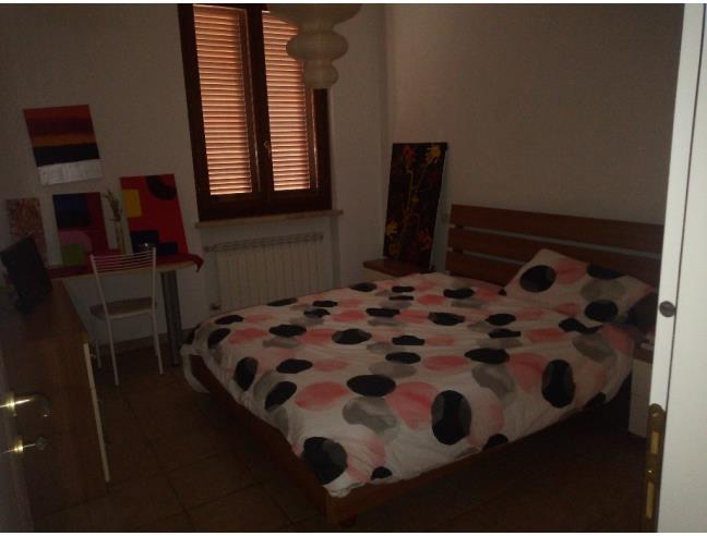 Anteprima foto 3 - Appartamento in Affitto a Sinalunga (Siena)