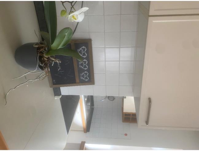 Anteprima foto 6 - Appartamento in Affitto a Stenico - Villa Banale