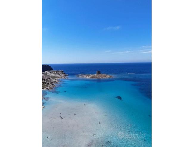 Anteprima foto 7 - Appartamento in Affitto a Stintino - La Pelosa