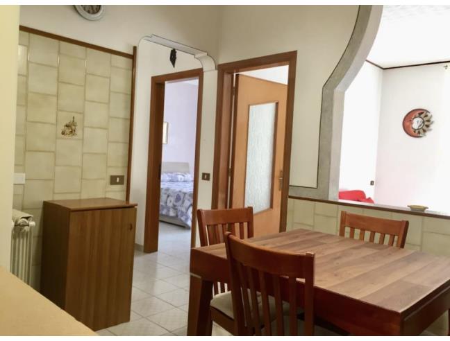 Anteprima foto 4 - Appartamento in Affitto a Termoli (Campobasso)