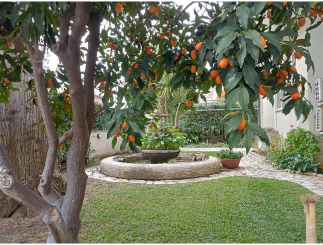 Anteprima foto 2 - Appartamento in Affitto a Terracina (Latina)