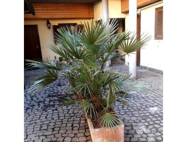 Anteprima foto 4 - Appartamento in Affitto a Torino - Barriera Milano