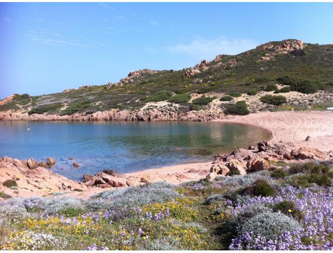 Anteprima foto 6 - Appartamento in Affitto a Trinità d'Agultu e Vignola (Sassari)