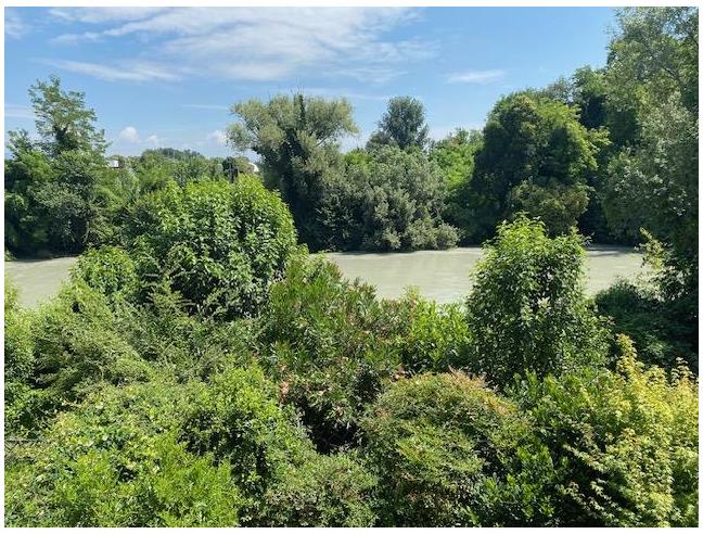 Anteprima foto 8 - Appartamento in Affitto a Verona - Borgo Roma