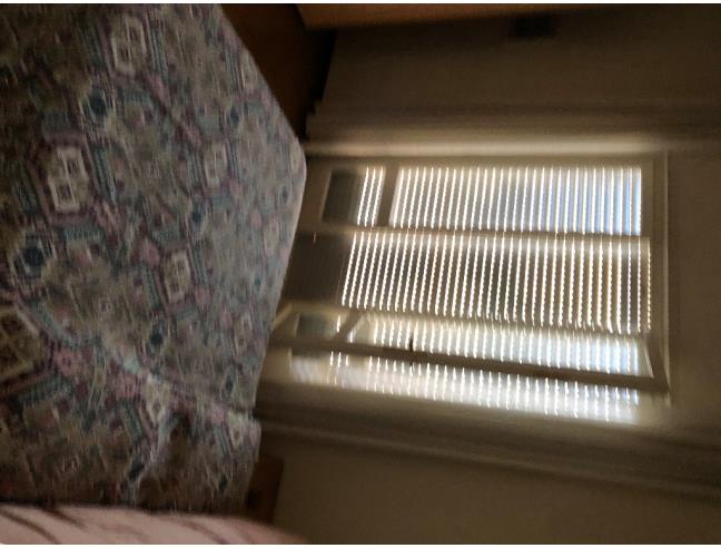 Anteprima foto 7 - Appartamento in Affitto a Viareggio (Lucca)