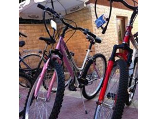 Anteprima foto 3 - Appartamento in Affitto a Vico del Gargano (Foggia)