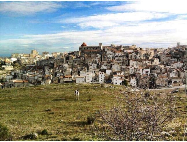 Anteprima foto 5 - Appartamento in Affitto a Vico del Gargano (Foggia)